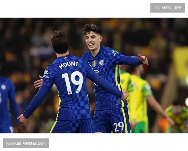 埃弗顿以3000万欧元签约比利亚雷亚尔中卫蒂尔诺-巴里加强防线